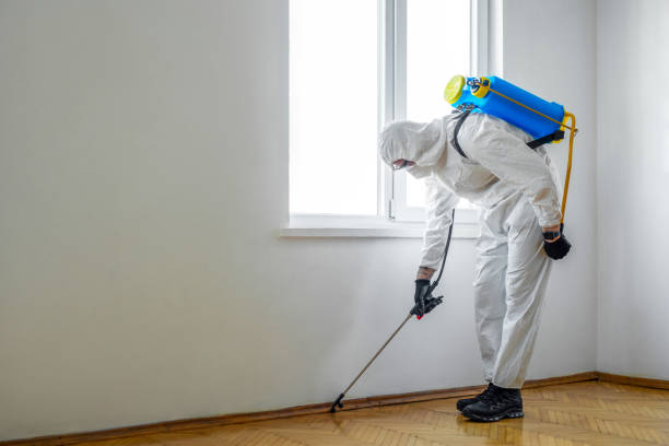 Best Commercial Pest Control  in Port Chester, NY